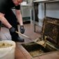 grease trap cleaning for restaurants a step by step guide 1787718115 85x85
