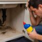 dangers of diy drain cleaning for aging pipes 1792631791 85x85