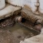 identify health risks of broken sewer pipes 1791071032 1 85x85